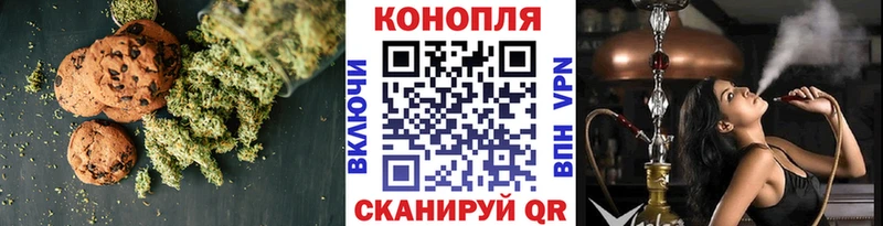 продажа наркотиков  Николаевск  Еда ТГК конопля 