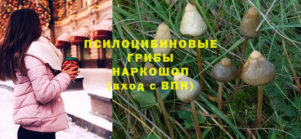 PSILOCYBIN Баксан