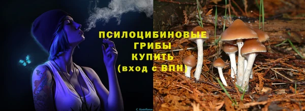 PSILOCYBIN Баксан