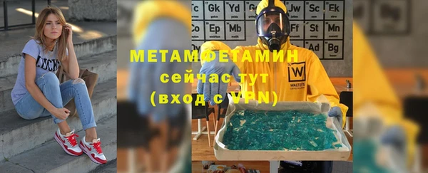 каннабис Богданович
