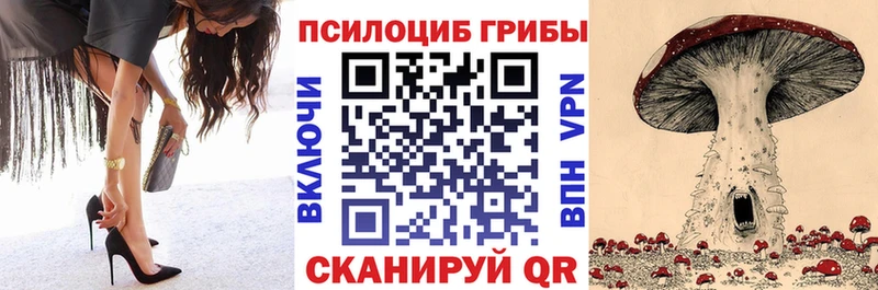 где купить наркотик  Николаевск  Галлюциногенные грибы GOLDEN TEACHER 